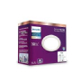 Smart WiFi LED Ceiling Lamp